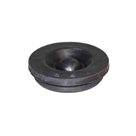 Rubber Plug for Ez-Lube Cap 2-7K